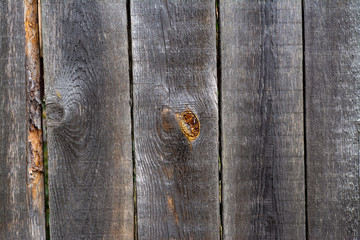 Wall Mural - Background from wooden boards of natural color