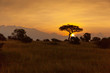 Sunset in the Masai Mara, Kenya, Africa