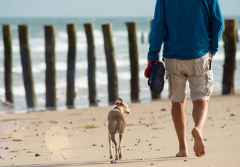 Wall Mural - hamme d'age mur se promenant sur la plage avec son chien