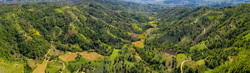 Wall Mural - aerial view valley and agricultural green tea and rice area