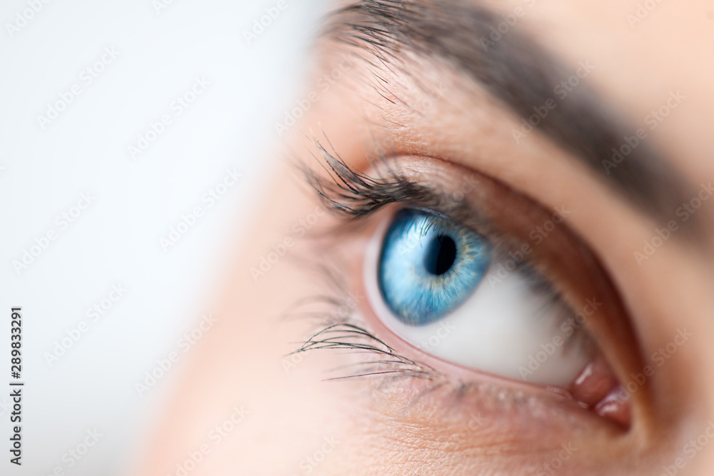 Beautiful human eye close-up. Young Woman Blue one eye macro shoot. Macro Closeup eye looking up, isolated on white background. Eyelashes, eyebrows closeup - obrazy, fototapety, plakaty 
