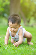 © themorningglory - Cute smiling little asian boy crawling on green grass