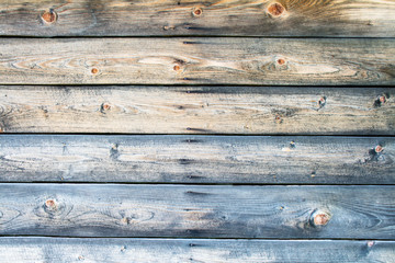 Wall Mural - Old planks of pine grey color as the background.