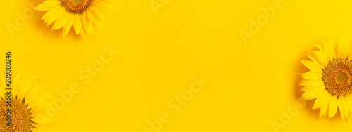 Fotomural Beautiful fresh sunflowers on bright yellow background