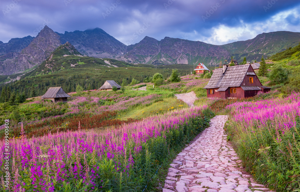 mountain landscape, Tatra mountains panorama, Poland colorful flowers and  cottages in Gasienicowa valley (Hala Gasienicowa), summer Stock Photo |  Adobe Stock