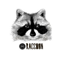 Raccoon Head Black And White
