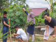 © airdone - Happy Healthy Asian Family Gardening at Their Backyard