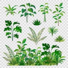 Green Herbal Elements. Decorative Beauty Nature Ferns And Leaf Plants Or Herbs Greens Isolated Vector Set