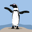 Cute african penguin, wildlife, bird. Flat design. Vector illustration. EPS10