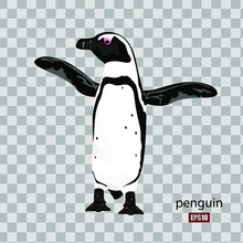 Cute African Penguin On Transparent Background, Wildlife, Bird. Flat Design. Vector Illustration. EPS10