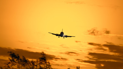 Wall Mural - air plane in sunset sky