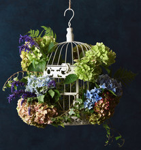 Birdcage With Floral Decoration
