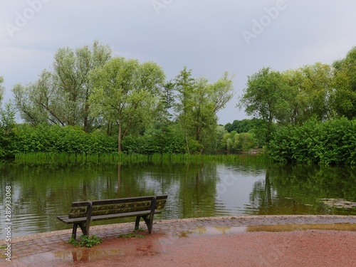 Paved Shore At A Pond A Bench Covered With Lichen And Moss On The Other Side Of The Pond Bushes And Trees Reeds It Is Rainy Weather Stock Photo Adobe Stock