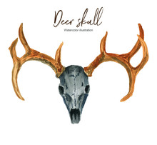 Isolated Watercolor Illustration With A Deer Skull On A White Background. Suitable For Creating Cards, Invitations, Holidays, Etc.