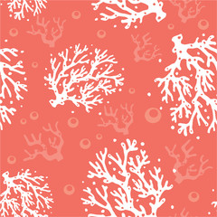  Koralowy wzór. Żywy koral