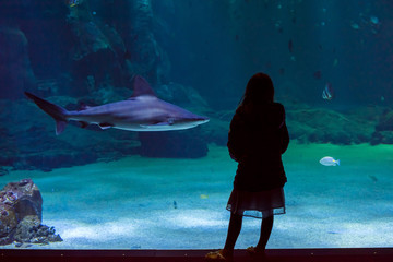 beautiful girl admiring the show