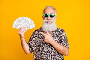 Poster - Portrait of white bearded funny old man in eyewear eyeglasses smile win lottery point at hold fan money credit deposit wearing leopard print shirt isolated over yellow background