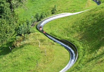 Wall Mural - toboggan...atzmännig