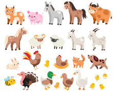 Cute Farm. Big Set Of Cartoon Farm Animals And Pets For Kids And Children. Cow, Horse, Pig And Many Other