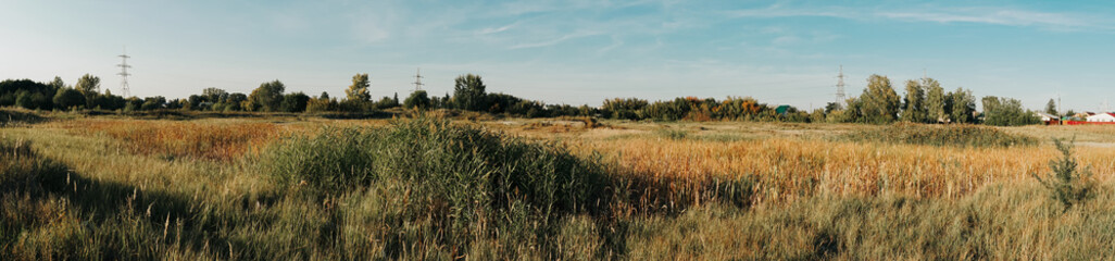 Wall Mural - panorama of the summer landscape in the field