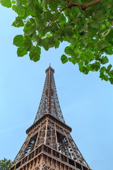 Wall Mural - the symbol of paris and all of france is the elegant and unique eiffel tower. photo taken in the are