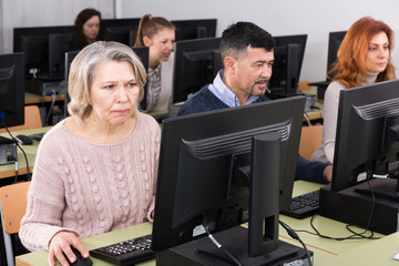 Wall Mural - Mature woman during computer classes