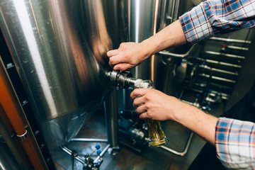 Wall Mural - Brewer filling beer in glass from tank at brewery. Family business concept.