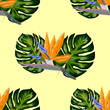 Strelitzia pattern. Tropical flower, blossom cluster seamless pattern. Beautiful background with tropical flowers and palm leaves, plant and leaf.