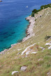 Rocky coast on Mljet island, Croatia