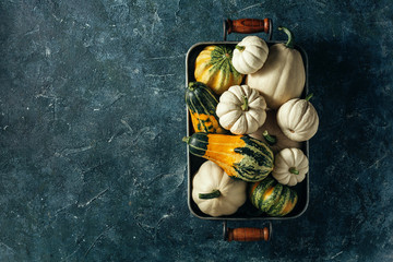Wall Mural - pumpkins background with copy space.