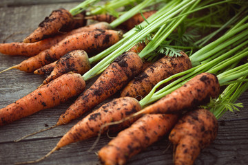 Wall Mural -  Fresh crop of carrots on a wooden table