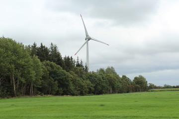 Wall Mural - Windmills in the moor