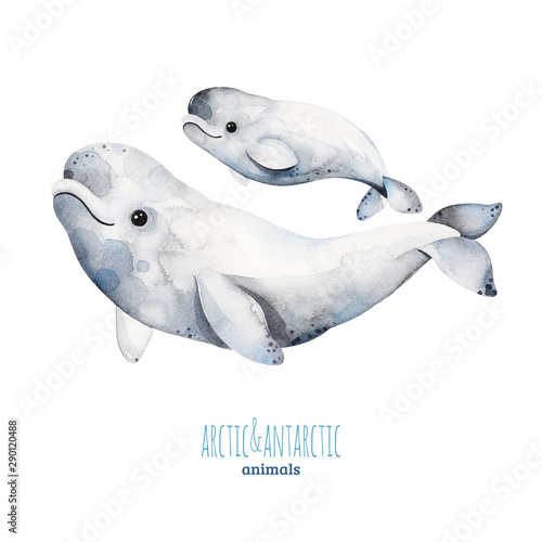 Fotomural Watercolor set with cute mother and baby beluga whales
