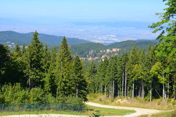 View over the vineyards of Recas, Banat. View of the hills on which the vineyard