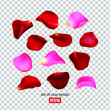 Set of rose petals, red and pink petals, flowers. 3D effect. Vector