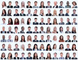 © ASDF - portraits of successful employees isolated on a white