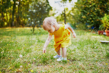 adorable toddler girl in yellow dress having fun in park or forest and picking flowers
