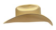 © pixelrobot - Cowboy Hat Side View