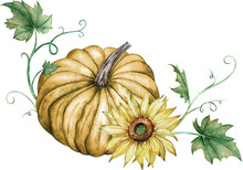 Watercolor Composition Of Orange Pumpkin And Yellow Sunflower With Green Leaves. Autumn Illustration.