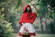 Portrait Young Woman With Little Red Riding Hood Costume With Apple And Bread On Basket In Green Tree Park Background