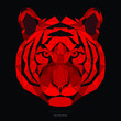 Hipster animal polygonal tiger face. Triangle animal
