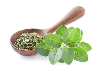 Wall Mural - Oregano fresh leaves with dry oregano in wooden spoon