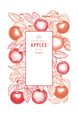 Wall Mural - Apple branch design template. Hand drawn vector garden fruit illustration. Engraved style fruit frame. Retro botanical banner.