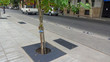 © Alla Ovchinnikova - Mendoza is a beautiful city on the west of Argentina