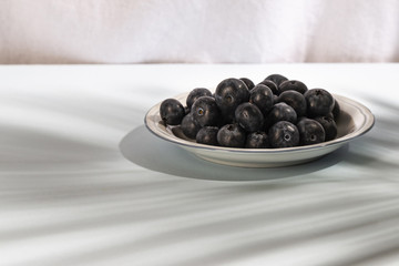 Wall Mural - Close-up of healthy blue berries on plate