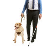 © Pixel-Shot - Blind mature man with guide dog on white background