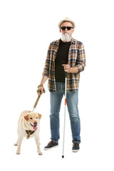 Poster - Blind mature man with guide dog on white background