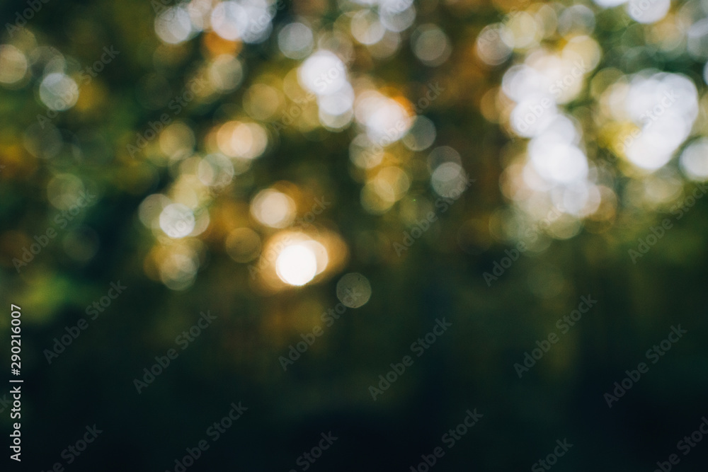 Autumn abstract background. Blurred image of beautiful sunny light and autumn leaves. Fall in forest. Tranquil moment. Sunlight through trees - obrazy, fototapety, plakaty 
