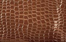 Brown Crocodile Leather Texture, Closeup. Useful As Background.