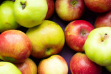 Fototapeta Kuchnia - Organic apples grown in an ecologically clean area